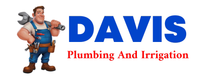 Trusted plumber in FLINTON